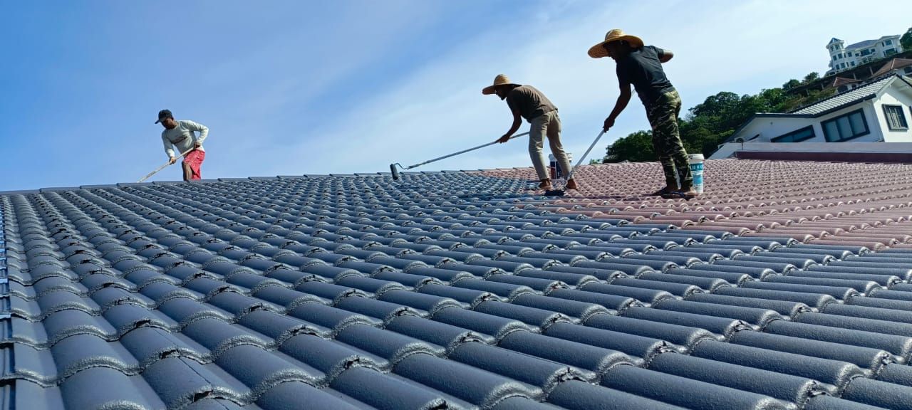 Roof Waterproof and Painting